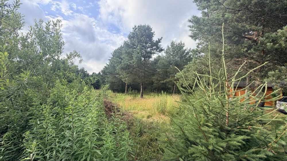 Działka budowlana Wałpusz. Zdjęcie 1