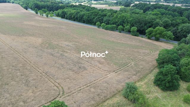 Działka inwestycyjna Dąbrowa Bolesławiecka. Zdjęcie 11