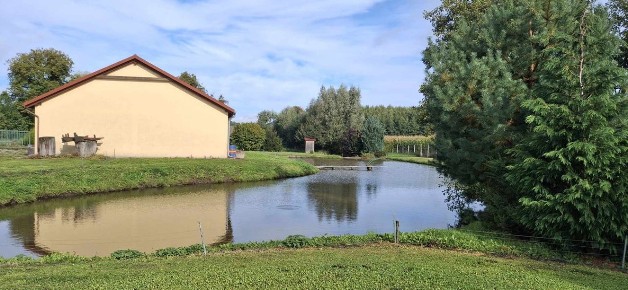 Działka siedliskowa Buczyniec. Zdjęcie 14