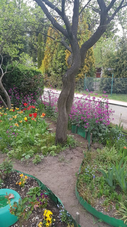 Działka rod Poznań Ławica, ul. Bukowska. Zdjęcie 9