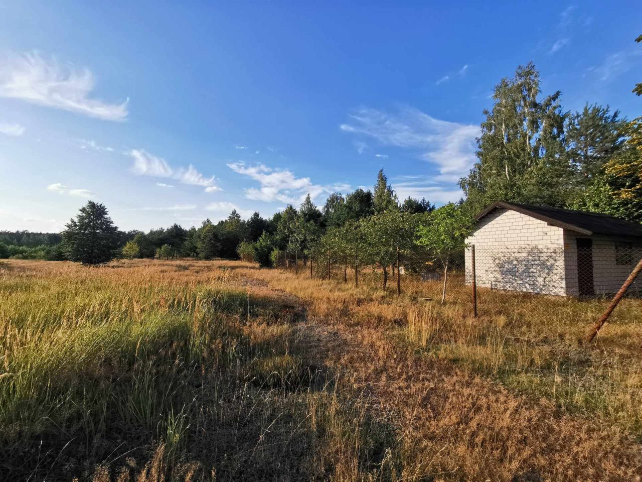 Działka siedliskowa Wymysłów Francuski. Zdjęcie 5