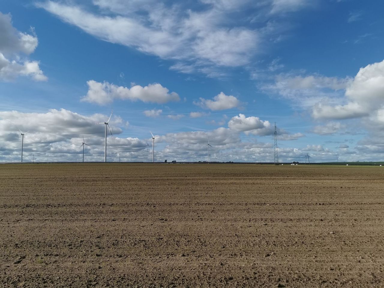 Działka inwestycyjna Blękwit. Zdjęcie 8