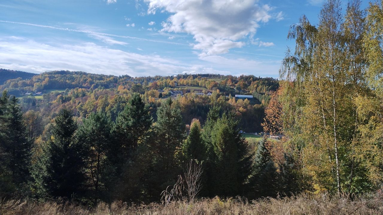Działka rolno-budowlana Czasław. Zdjęcie 4