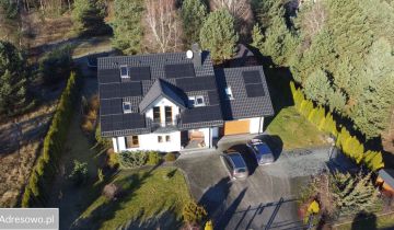 dom wolnostojący, 6 pokoi Czarne Błoto, Czarne Błoto