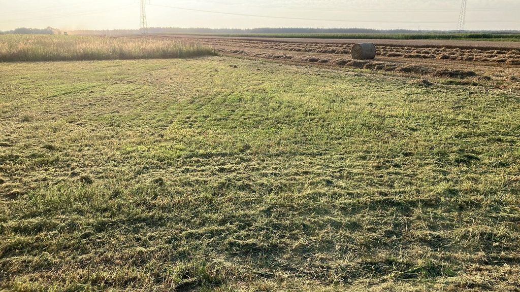 Działka budowlana Długie Stare. Zdjęcie 6