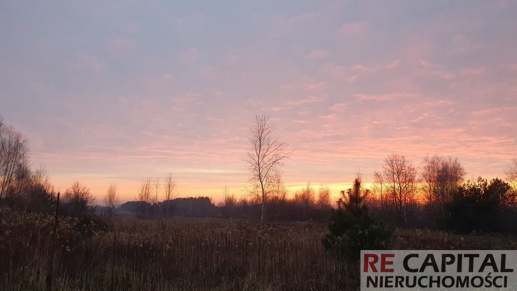 Działka siedliskowa Borzęcin Duży. Zdjęcie 2