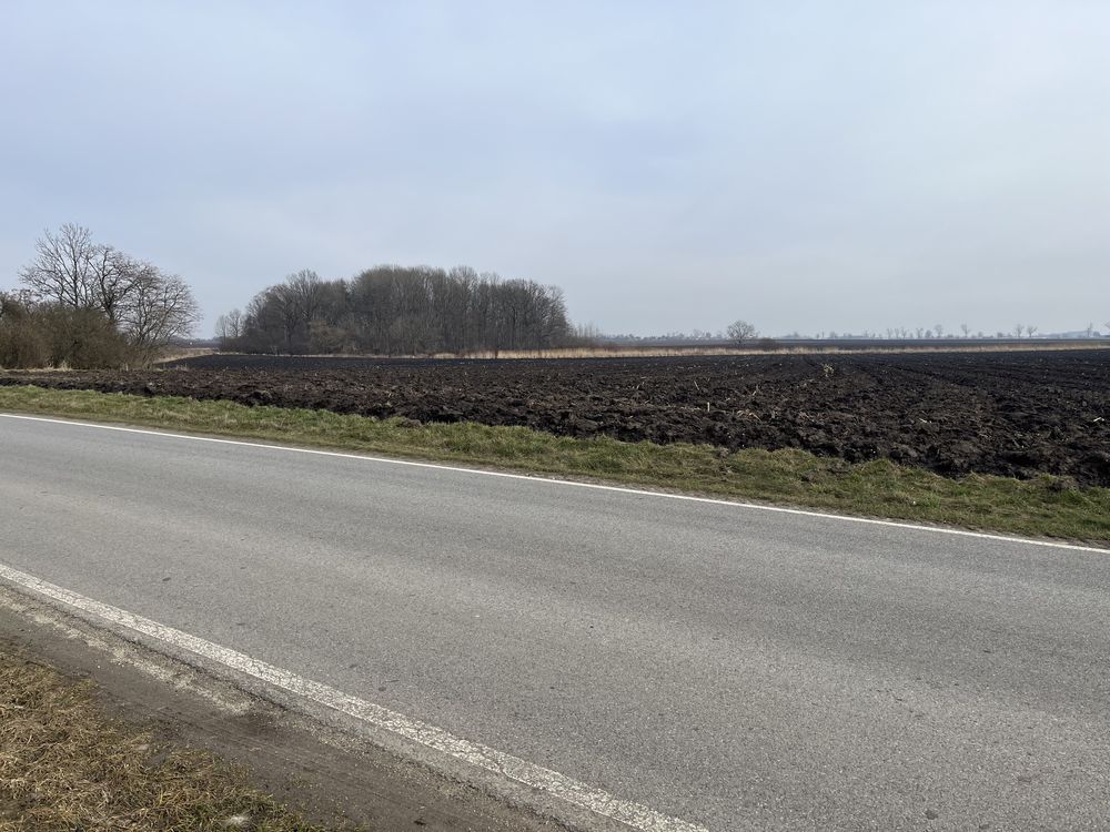 Działka budowlana Wierzbice. Zdjęcie 2