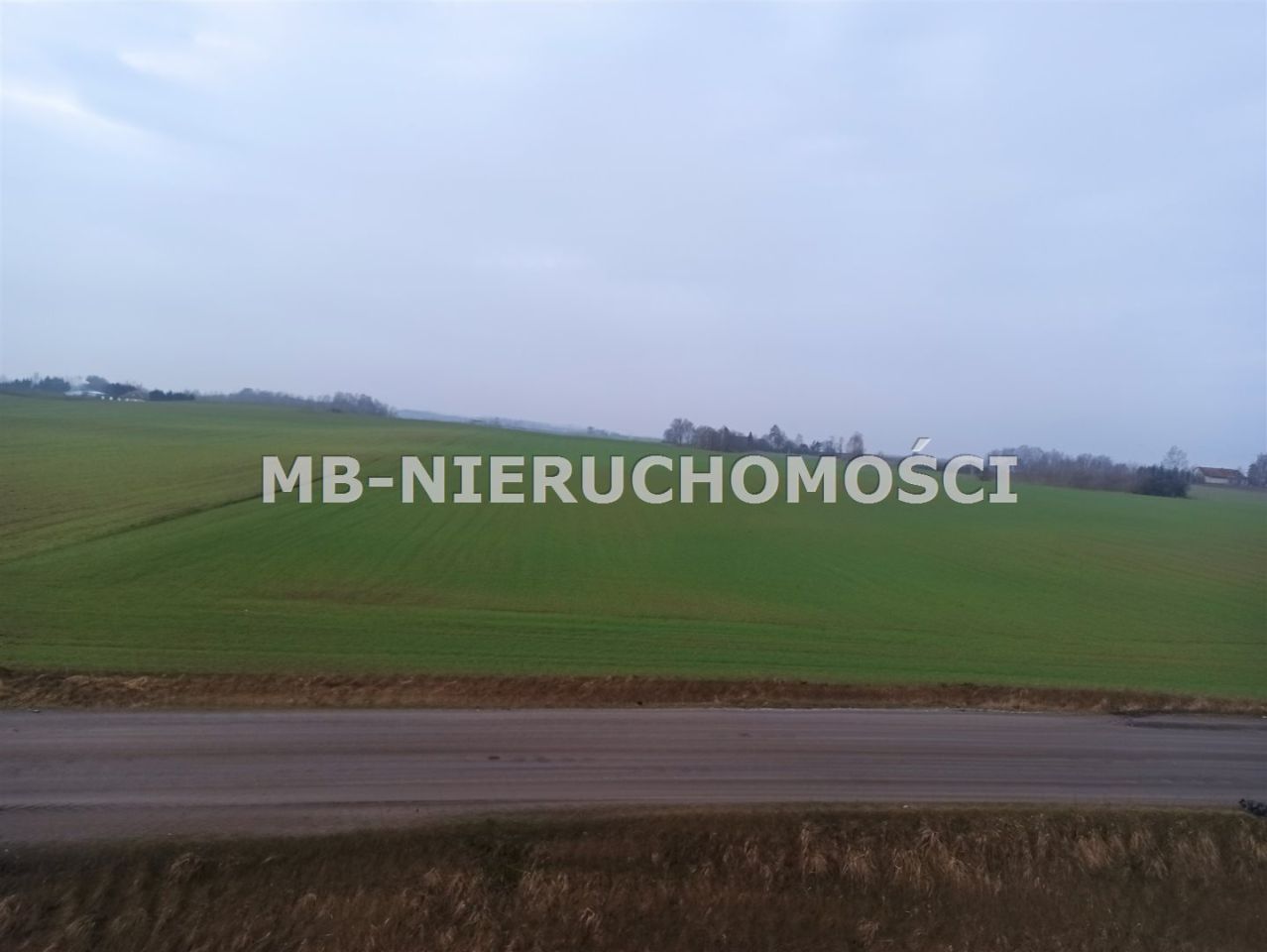 Działka inwestycyjna Królikowo. Zdjęcie 6