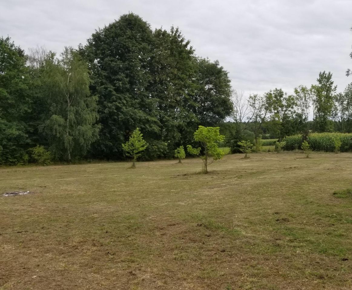 dom wolnostojący, 8 pokoi Jawornik Ruski. Zdjęcie 8