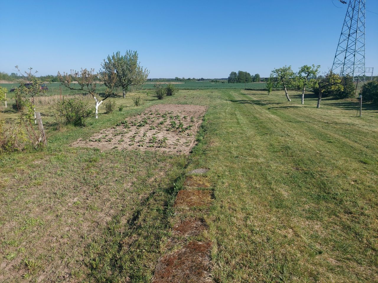 Działka rolna Krościna Mała. Zdjęcie 5