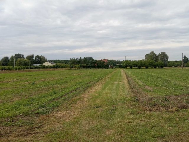 Działka rolno-budowlana Mięsy. Zdjęcie 1