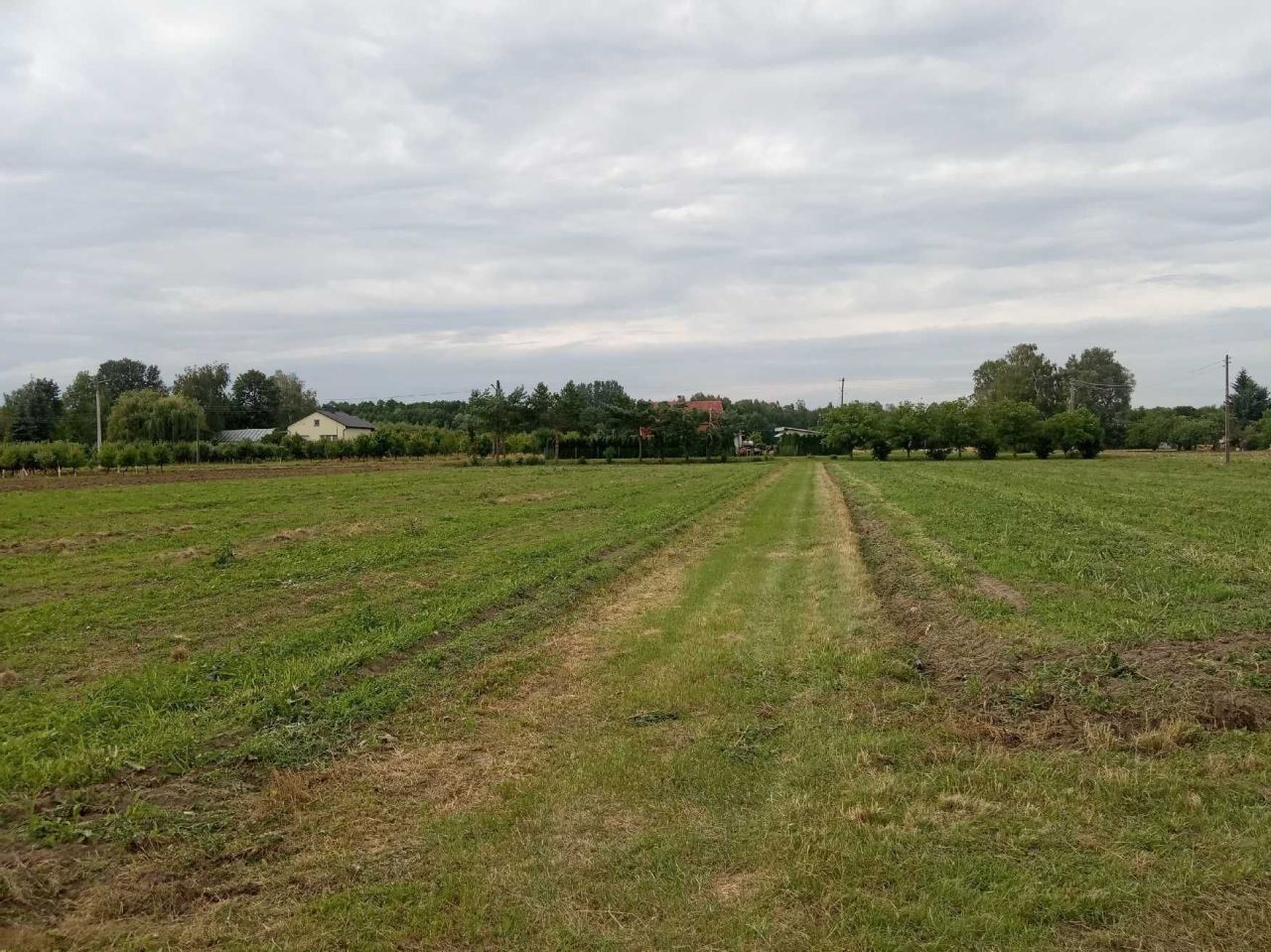 Działka rolno-budowlana Mięsy