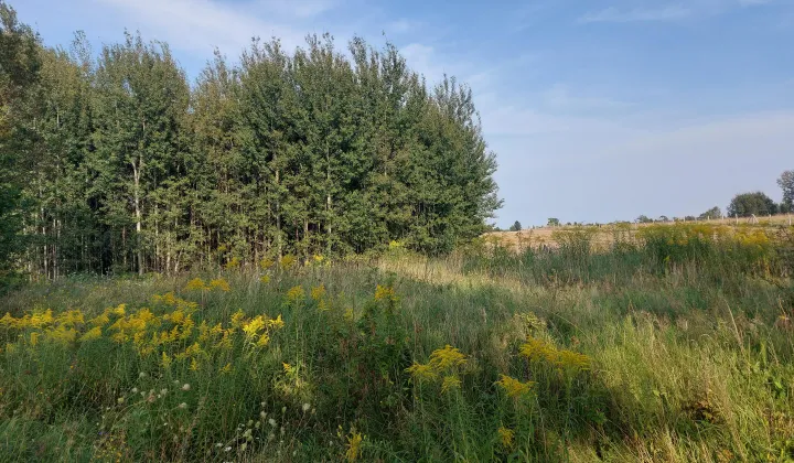 Działka rolno-budowlana Marcinkowo