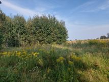 Działka rolno-budowlana Marcinkowo