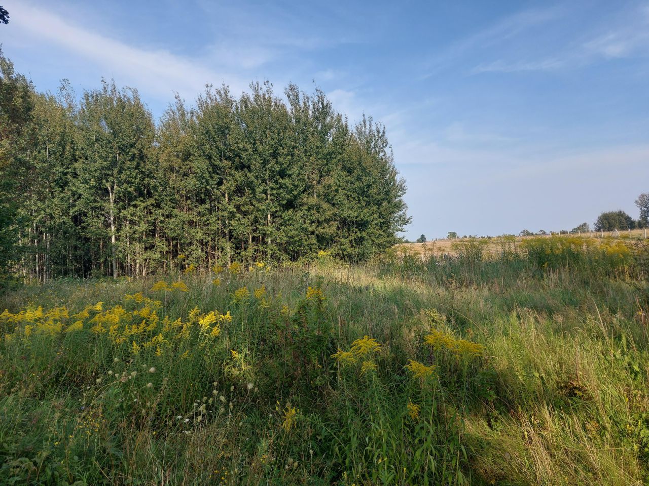 Działka rolno-budowlana Marcinkowo