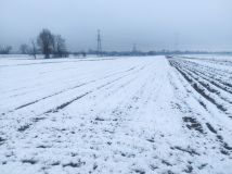 Działka rolna Świerże Górne. Zdjęcie 4