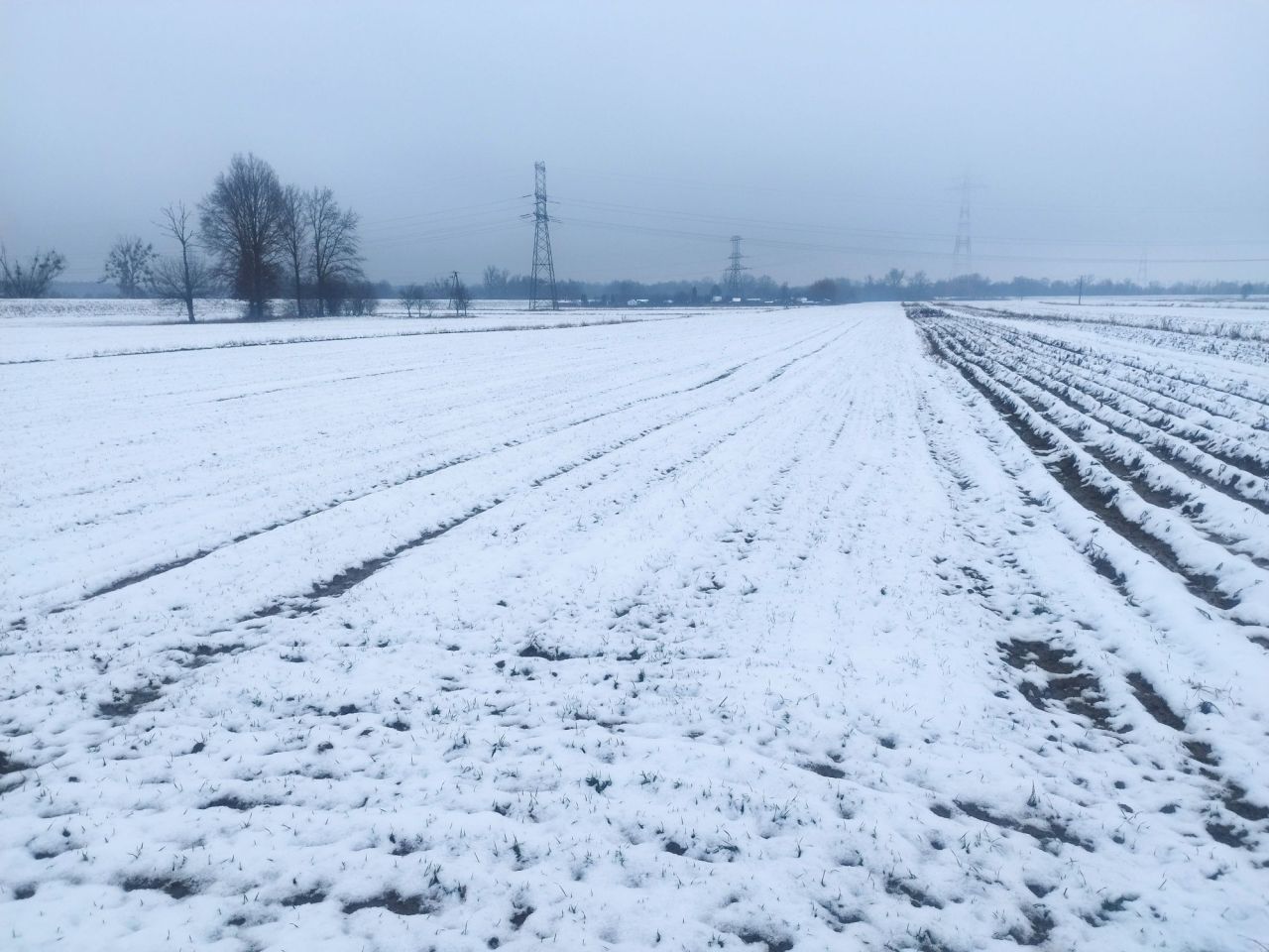 Działka rolna Świerże Górne. Zdjęcie 5