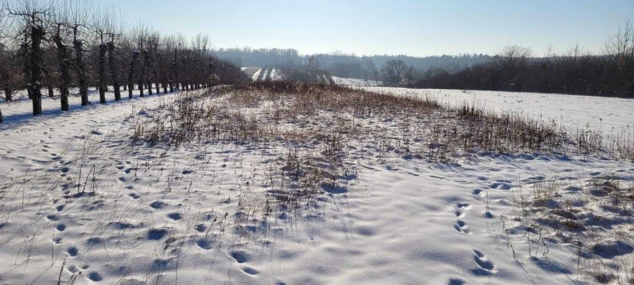 Działka budowlana Kazimierz Dolny Dąbrówka. Zdjęcie 5
