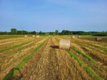 Działka budowlana Zasonie. Zdjęcie 1