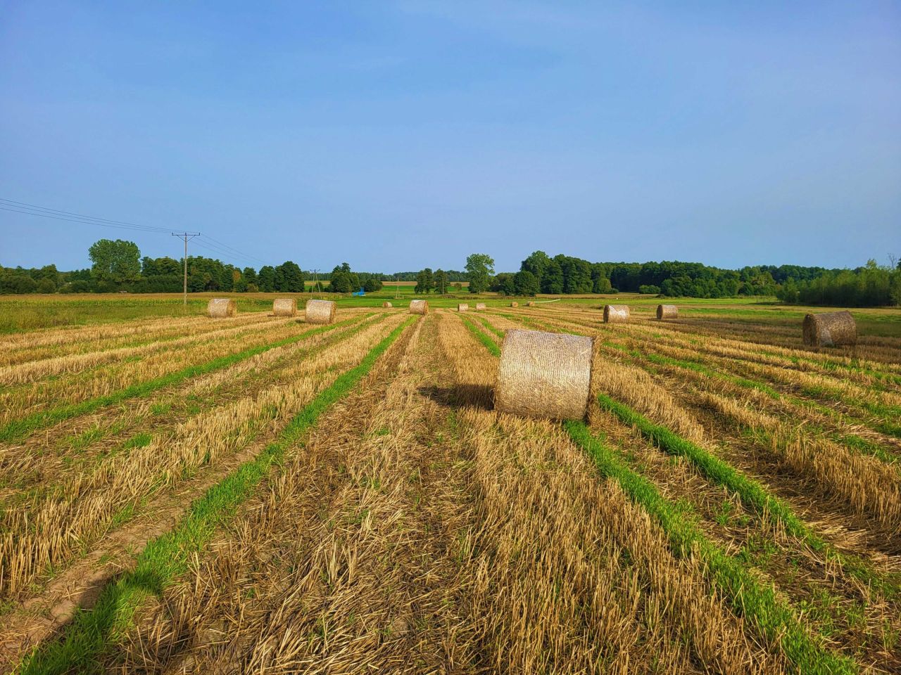 Działka budowlana Zasonie. Zdjęcie 2