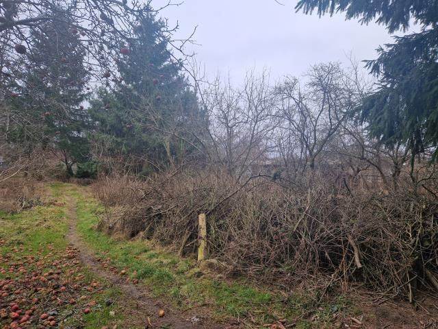 Działka budowlana Jadów. Zdjęcie 4