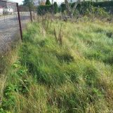 Działka budowlana Drzewiany. Zdjęcie 2