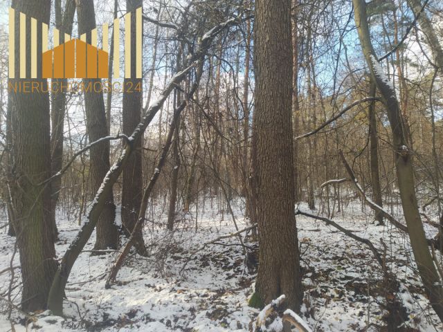 Działka inwestycyjna Warszawa Wawer, ul. Żarecka. Zdjęcie 4