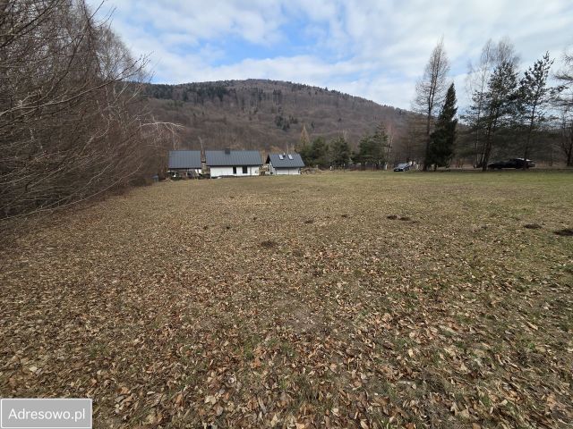 Działka inwestycyjna Łosie. Zdjęcie 1