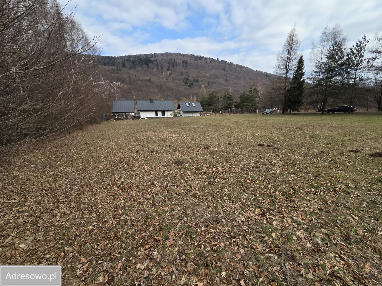 Działka inwestycyjna Łosie. Zdjęcie 1