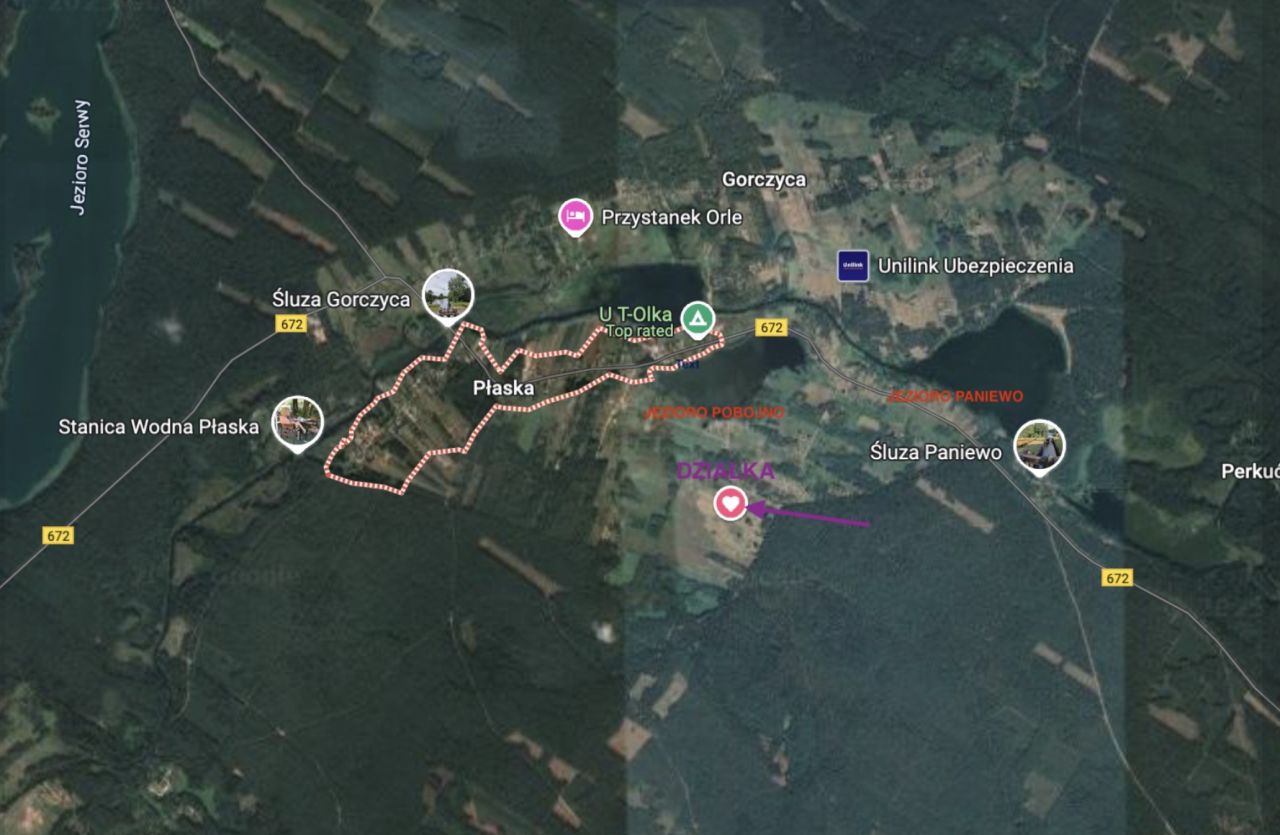 Działka rolno-budowlana Płaska. Zdjęcie 5