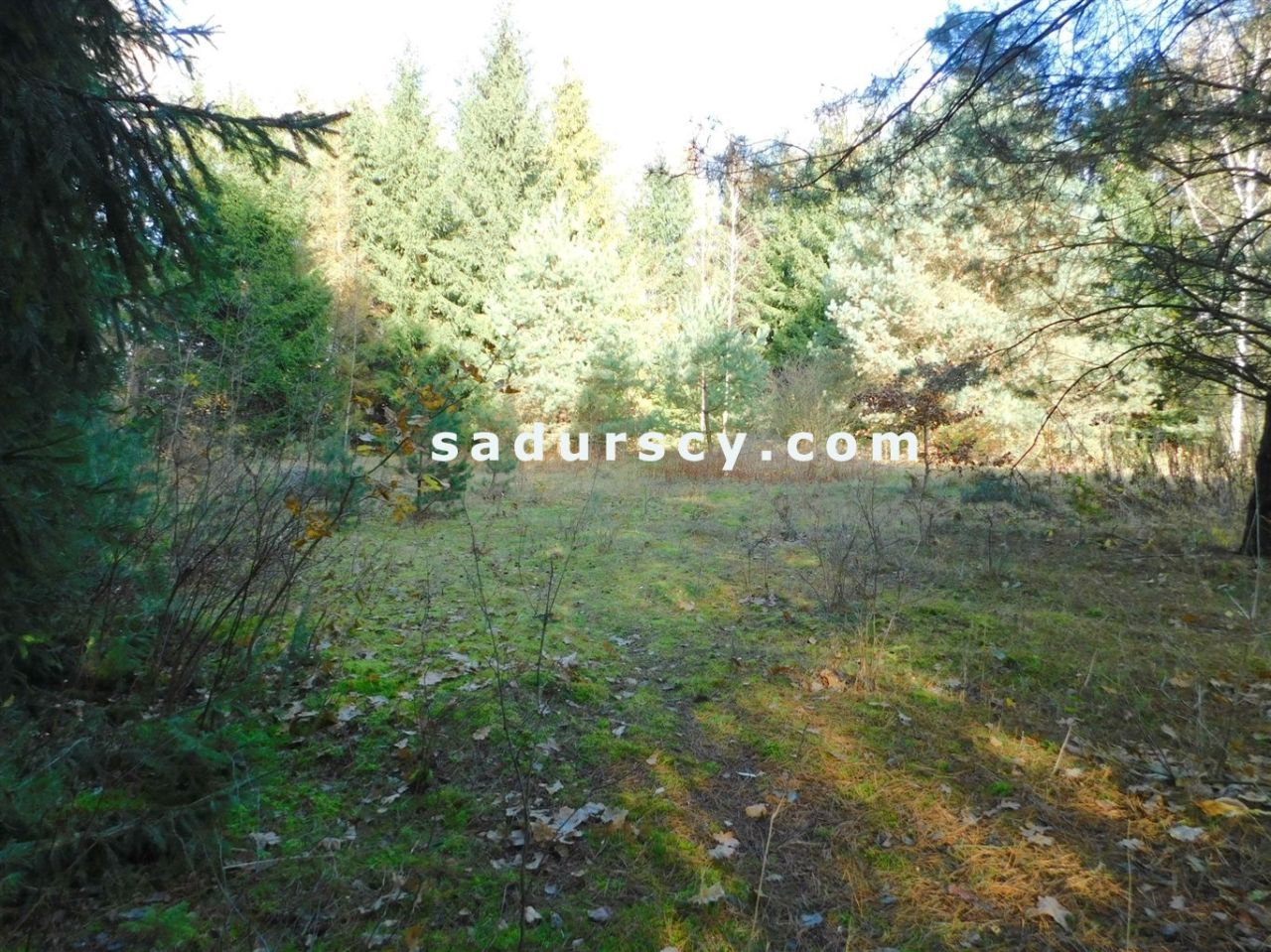 Działka budowlana Biały Ług. Zdjęcie 2