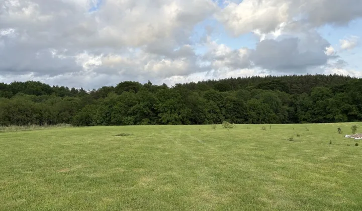 Działka rolna Stare Borne