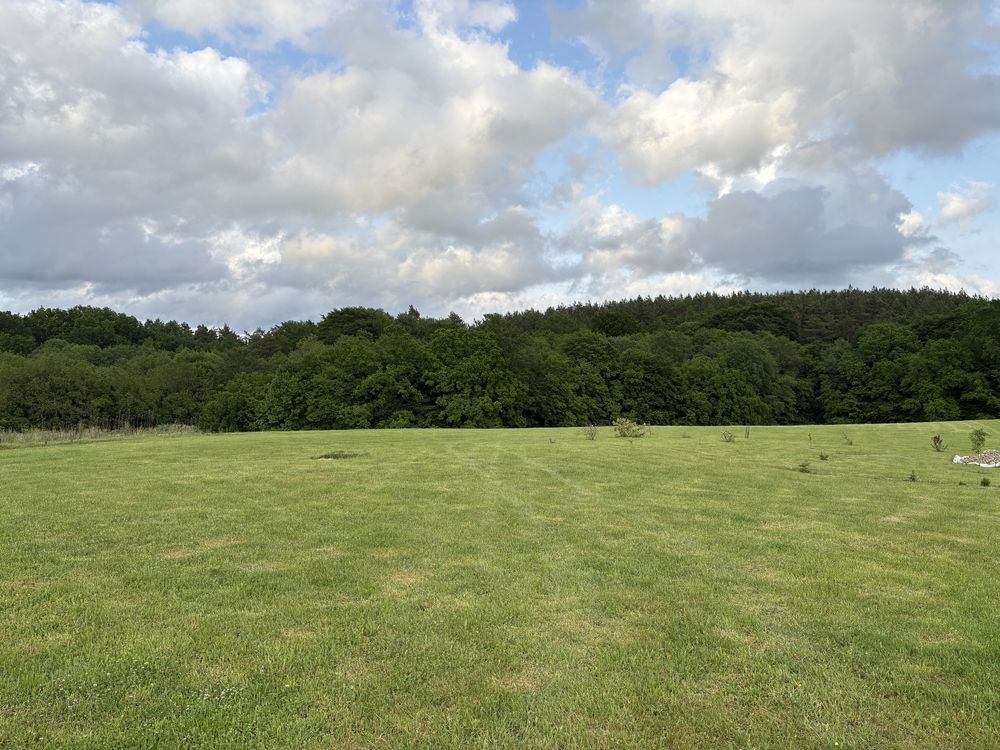 Działka rolna Stare Borne. Zdjęcie 1