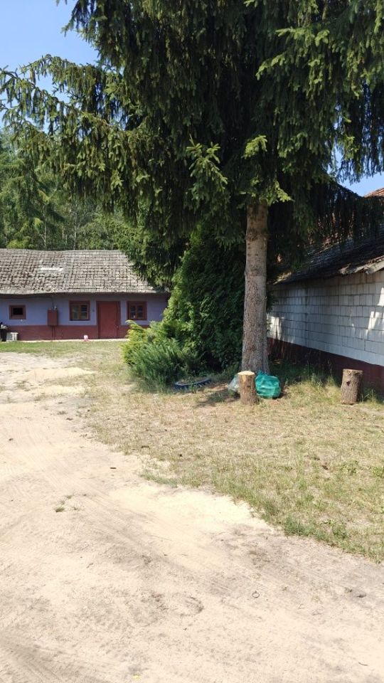 Działka rolno-budowlana Mstyczów. Zdjęcie 6