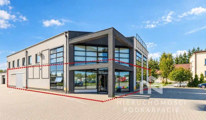 Lokal Rzeszów, ul. Borowa