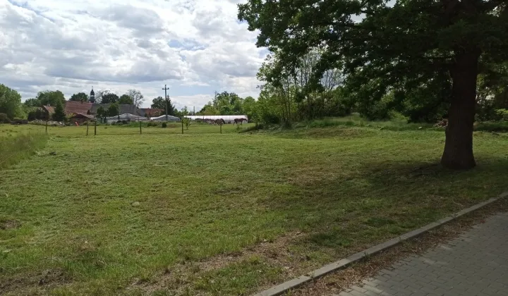 Działka rolno-budowlana Gorzyca