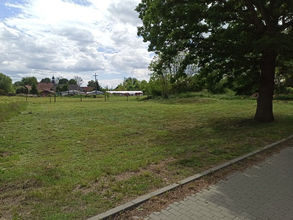 Działka na sprzedaż bez pośredników
Gorzyca