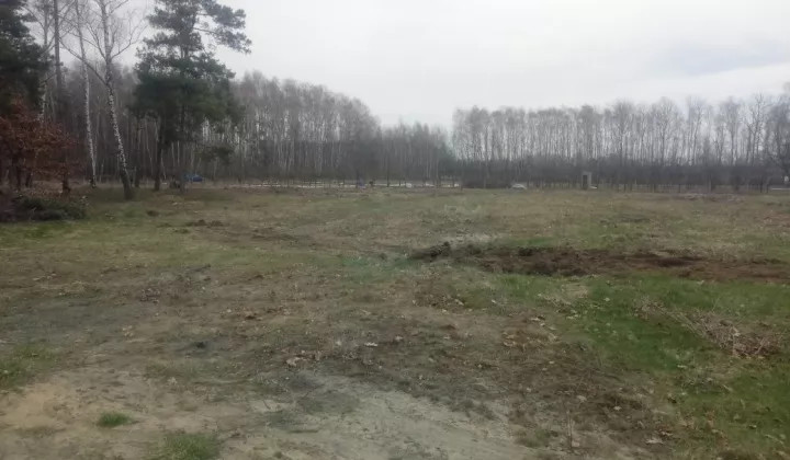 Działka rolno-budowlana Korabiewice