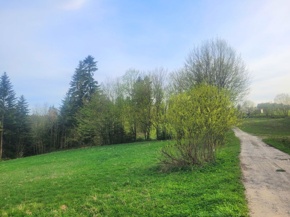 Działka rolna Werlas. Zdjęcie 5