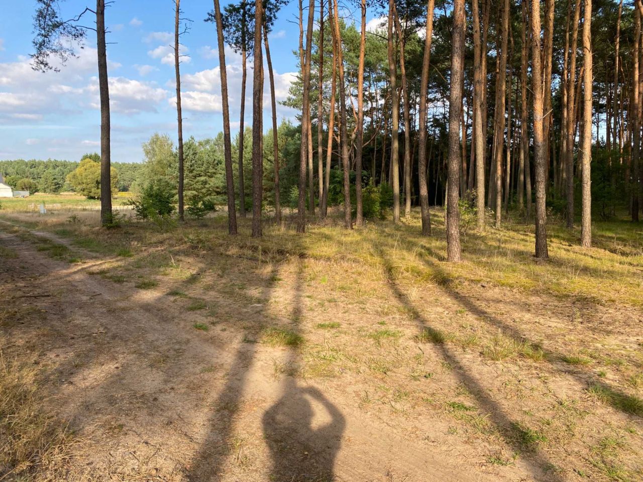 Działka budowlana Zamość. Zdjęcie 6