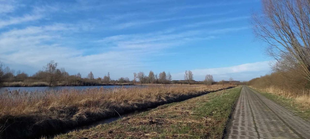 Działka rolna Dębina. Zdjęcie 4