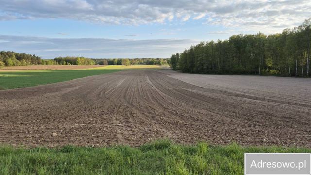 Działka rolna Pokaniewo-Kolonia. Zdjęcie 1