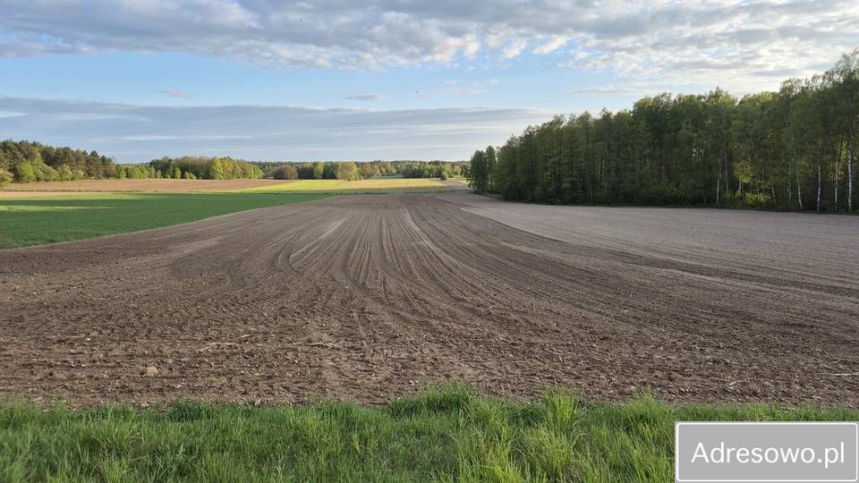 Działka rolna Pokaniewo-Kolonia