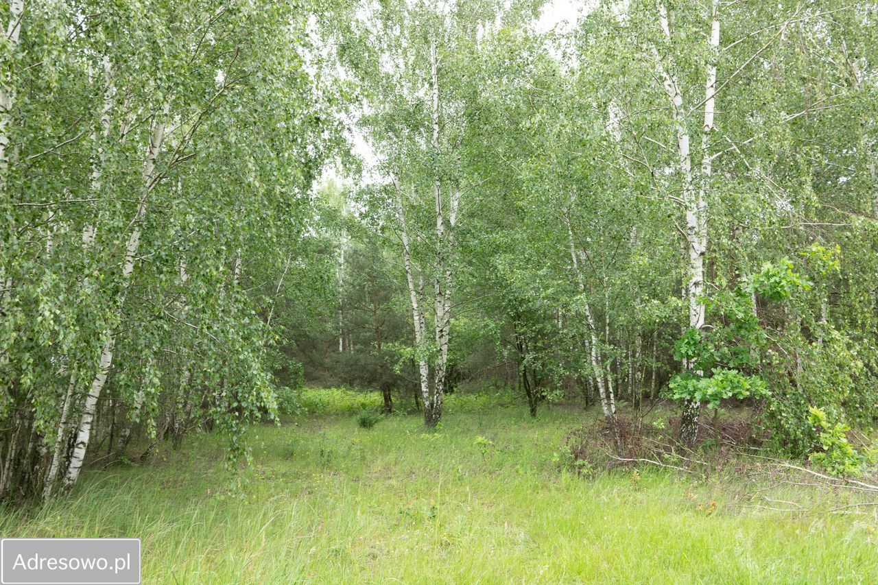 Działka Zofijówka. Zdjęcie 12