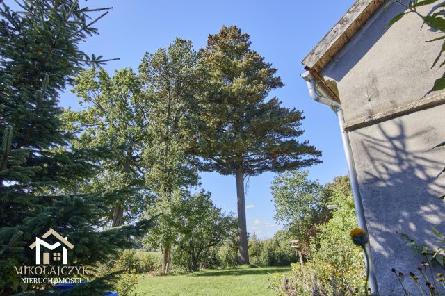 siedlisko, 3 pokoje Sówki. Zdjęcie 16