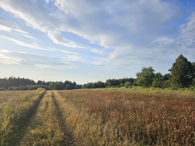 Działka siedliskowa Jodłowa Wiszowa. Zdjęcie 1