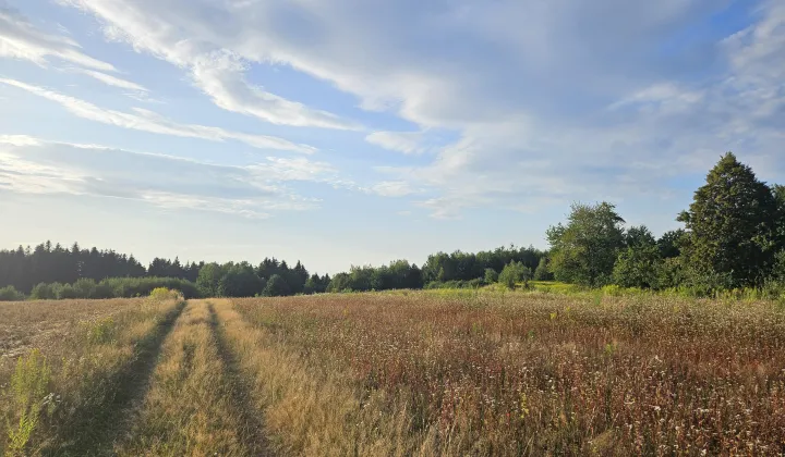 Działka siedliskowa Jodłowa Wiszowa