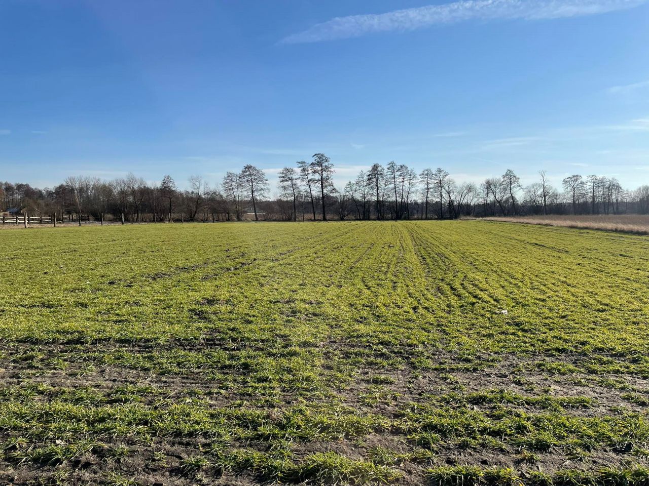 Działka rolno-budowlana Łyszkowice, ul. Brzezińska. Zdjęcie 4