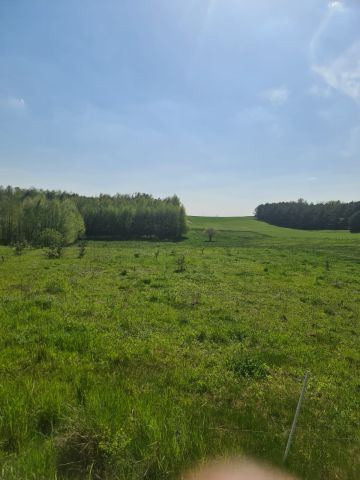 Działka rolno-budowlana Rutki-Kossaki. Zdjęcie 1