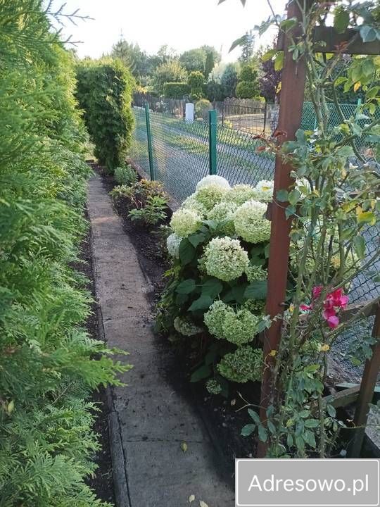 Działka rod Grudziądz Tuszewo, ul. Ludwika Waryńskiego. Zdjęcie 4